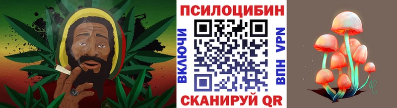 хочу   Саратов  Галлюциногенные грибы ЛСД 